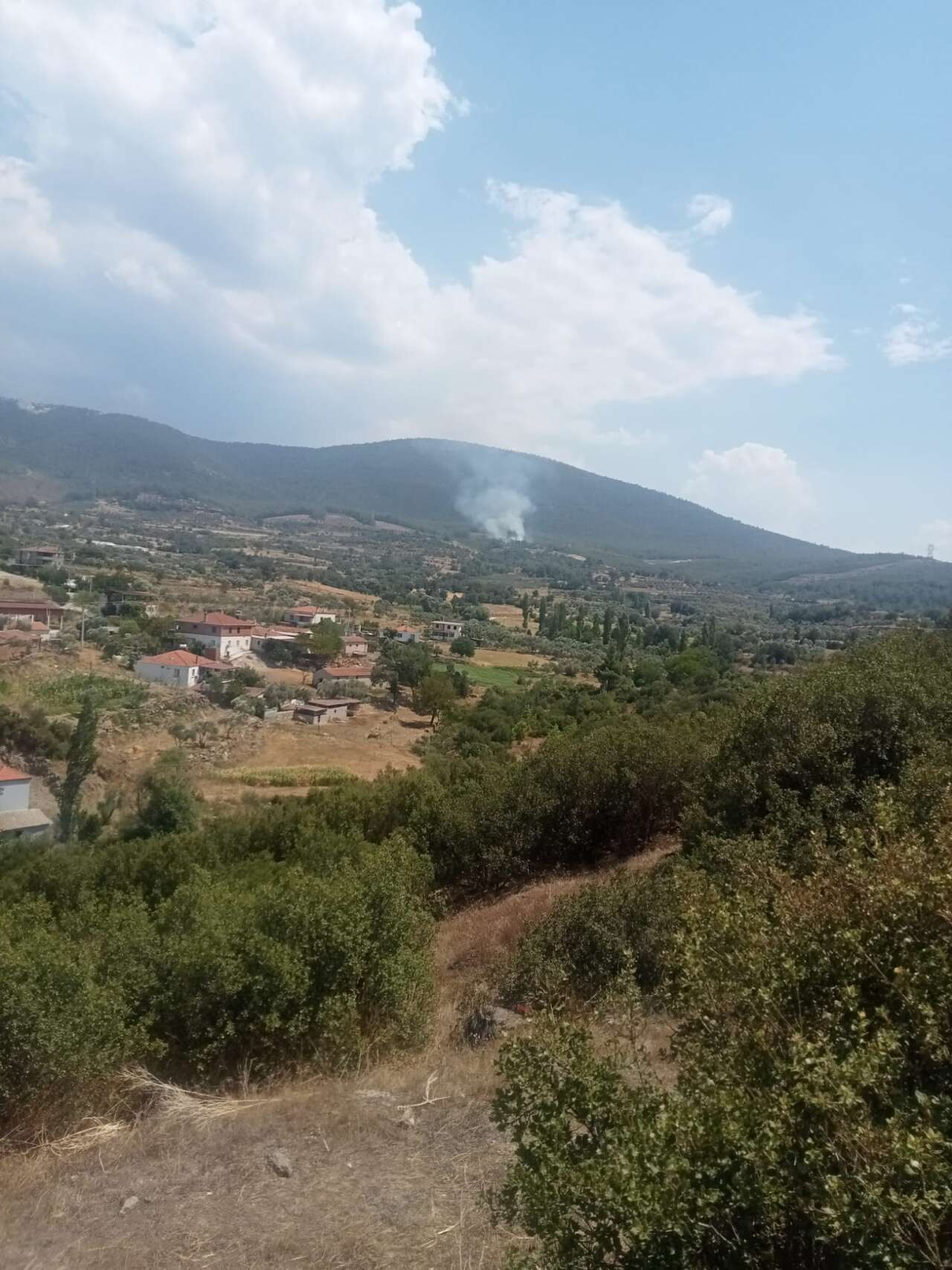 Kavaklıdere'de Orman Yangını: Ekipler Karadan ve Havadan Müdahale Ediyor 1